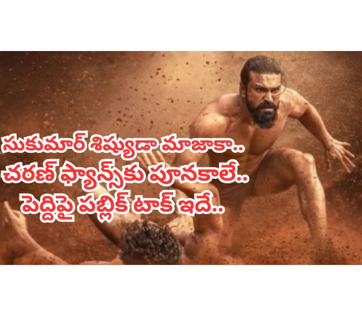 సుకుమార్ శిష్యుడా మాజాకా.. చరణ్ ఇరగదీశాడయ్యో..