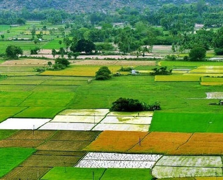 సర్వీస్ ఇనామ్ భూములకు స్వేచ్ఛ